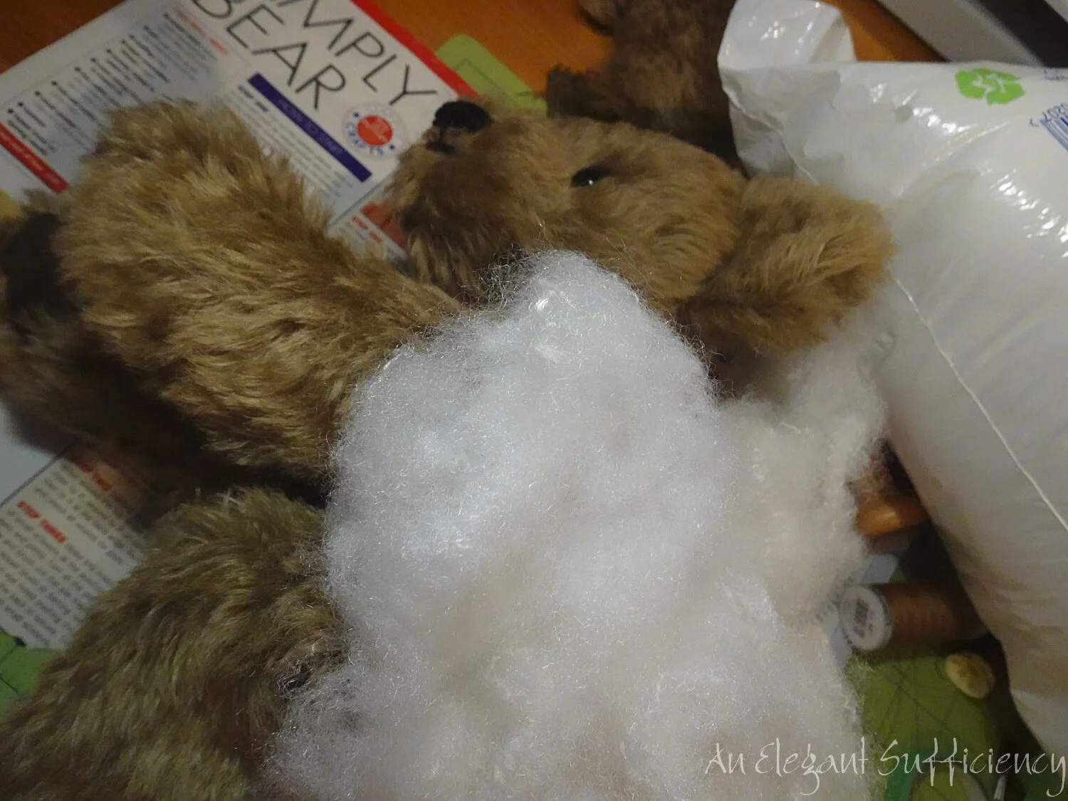 DSC03116.jpg