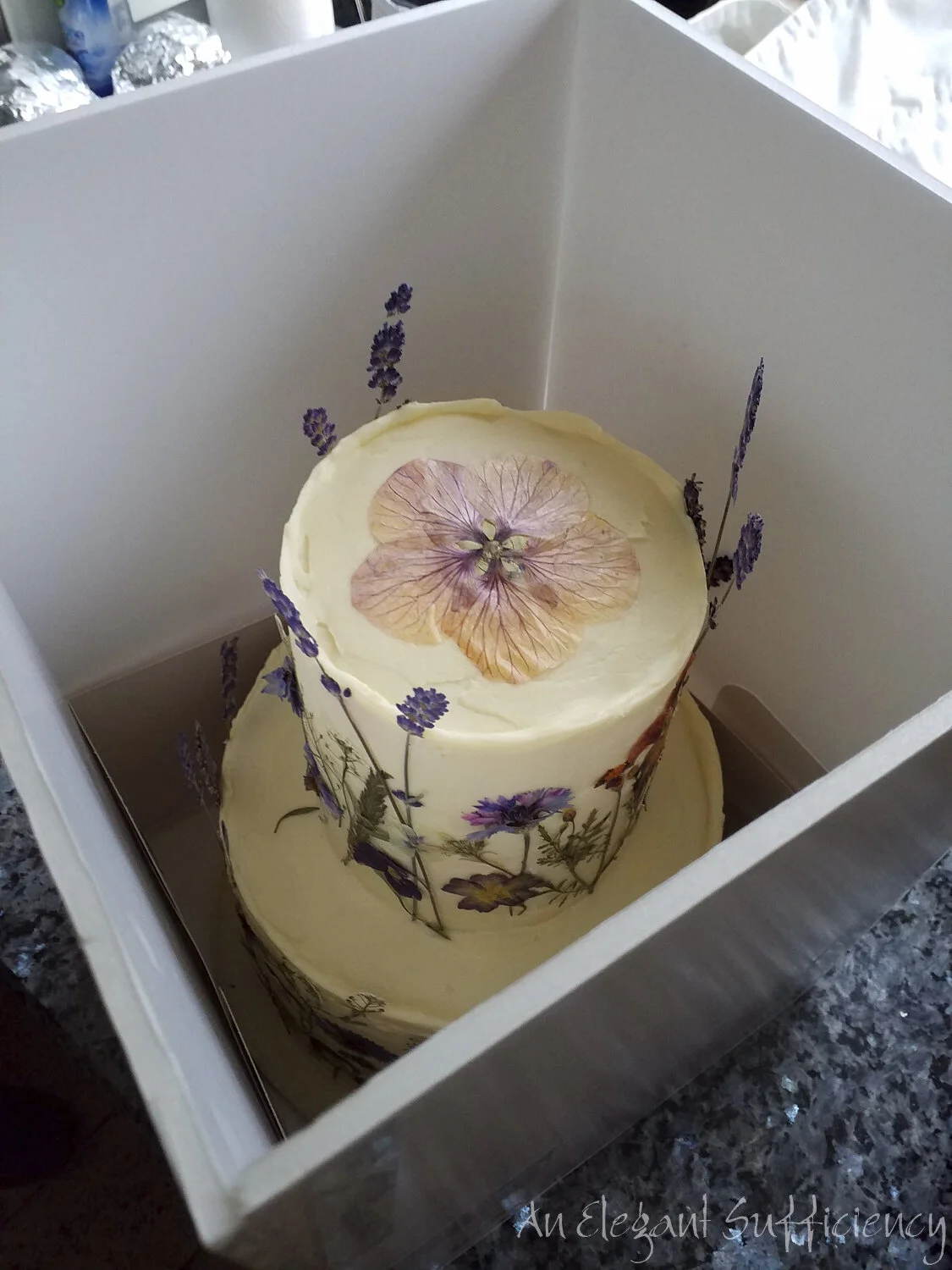 W day minus 1 - we (and the cake) arrived safely!
