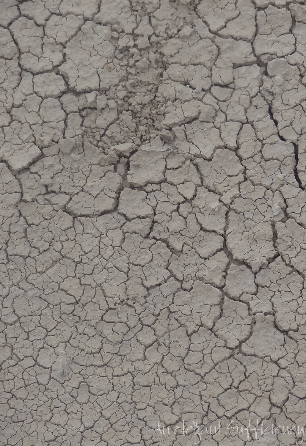 The Badlands