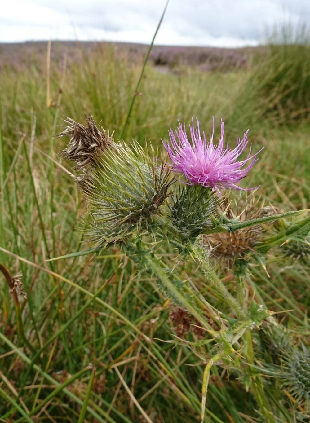 We love being in North Yorkshire