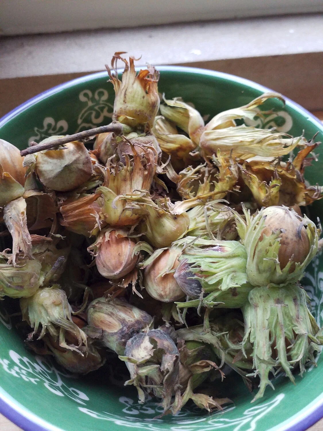 Cobnuts