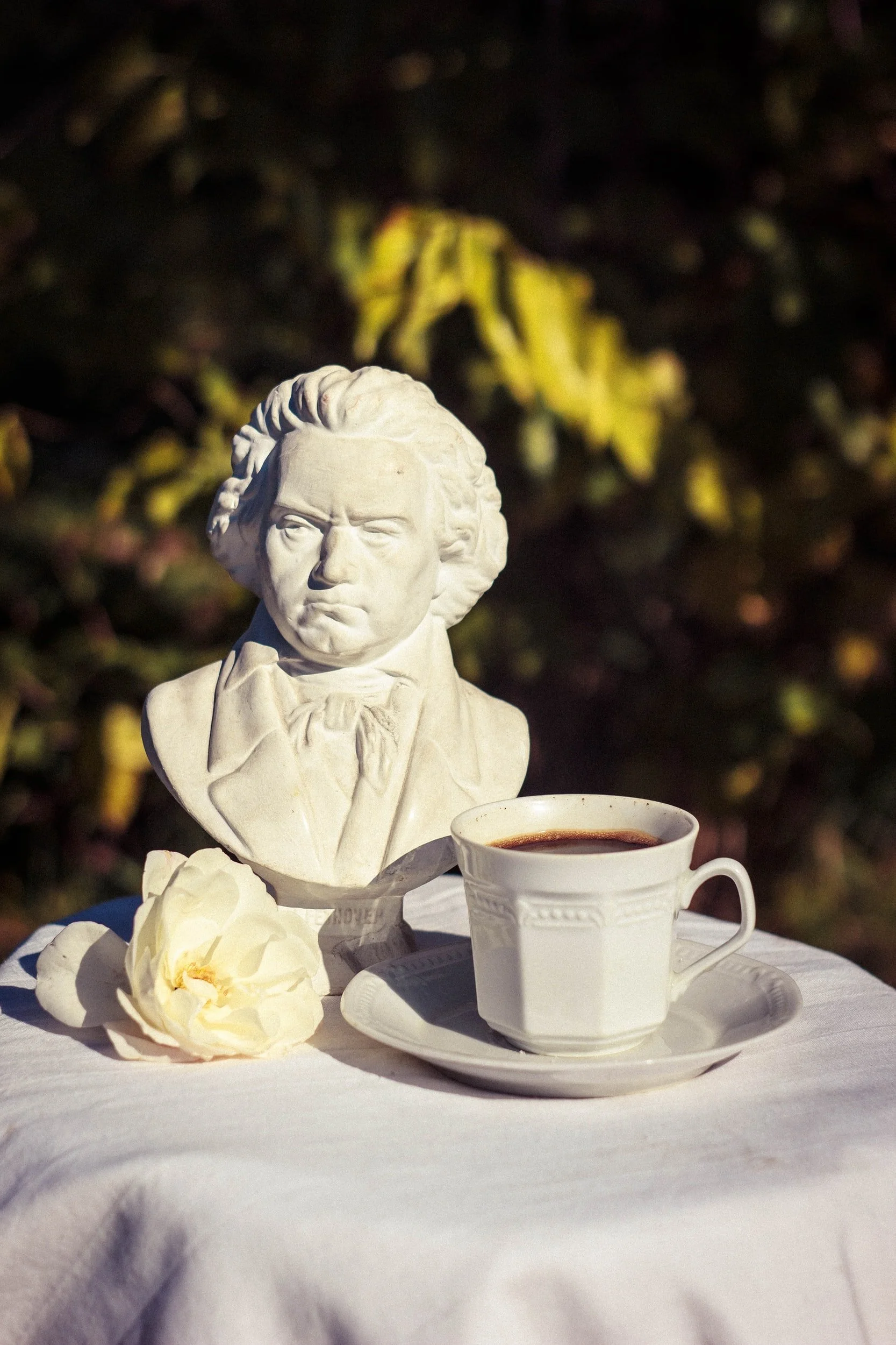 Oh Beethoven...