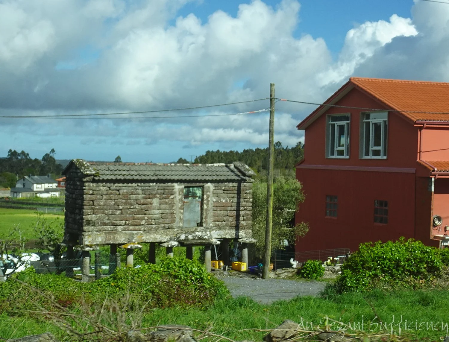 DSC02540.jpg