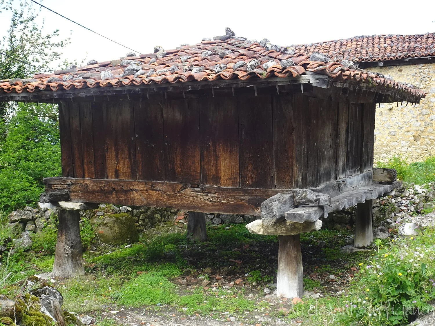 DSC03385 1.jpg