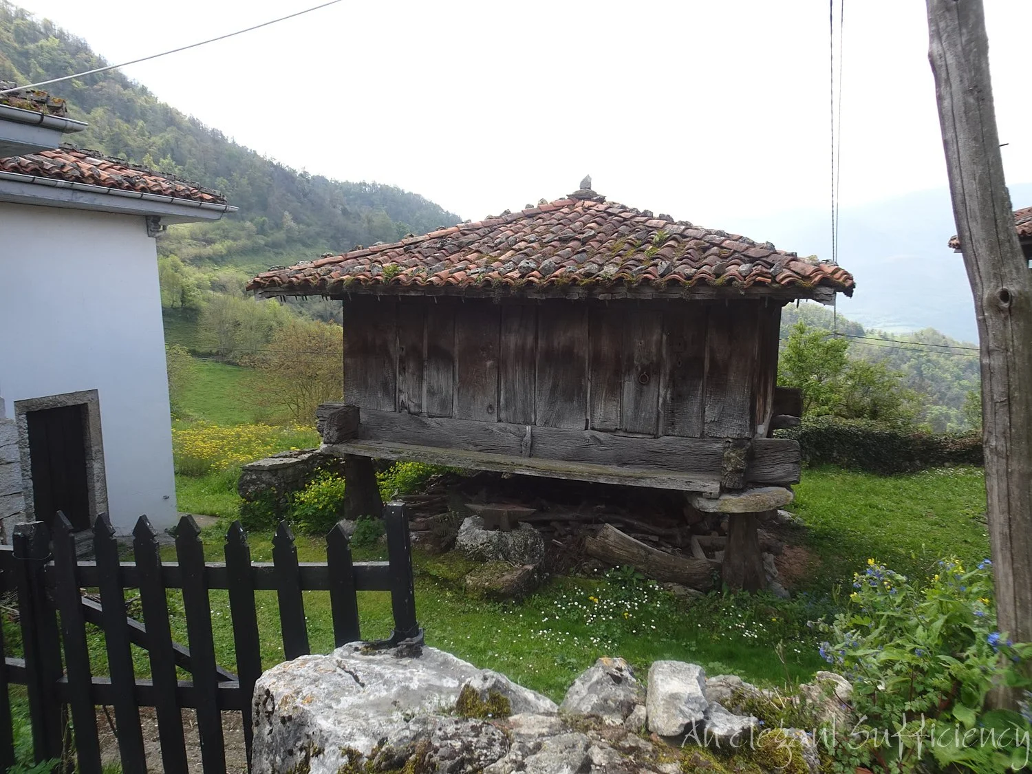 DSC03396.jpg