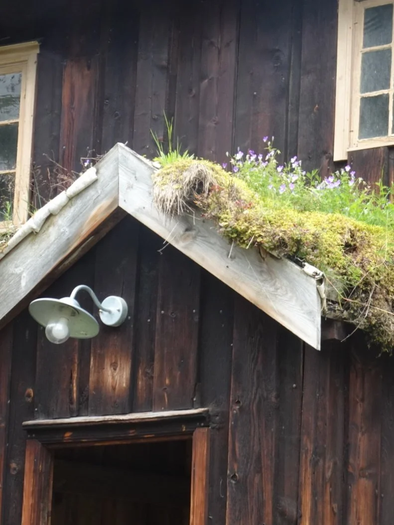 Molde, our last stop in Norway