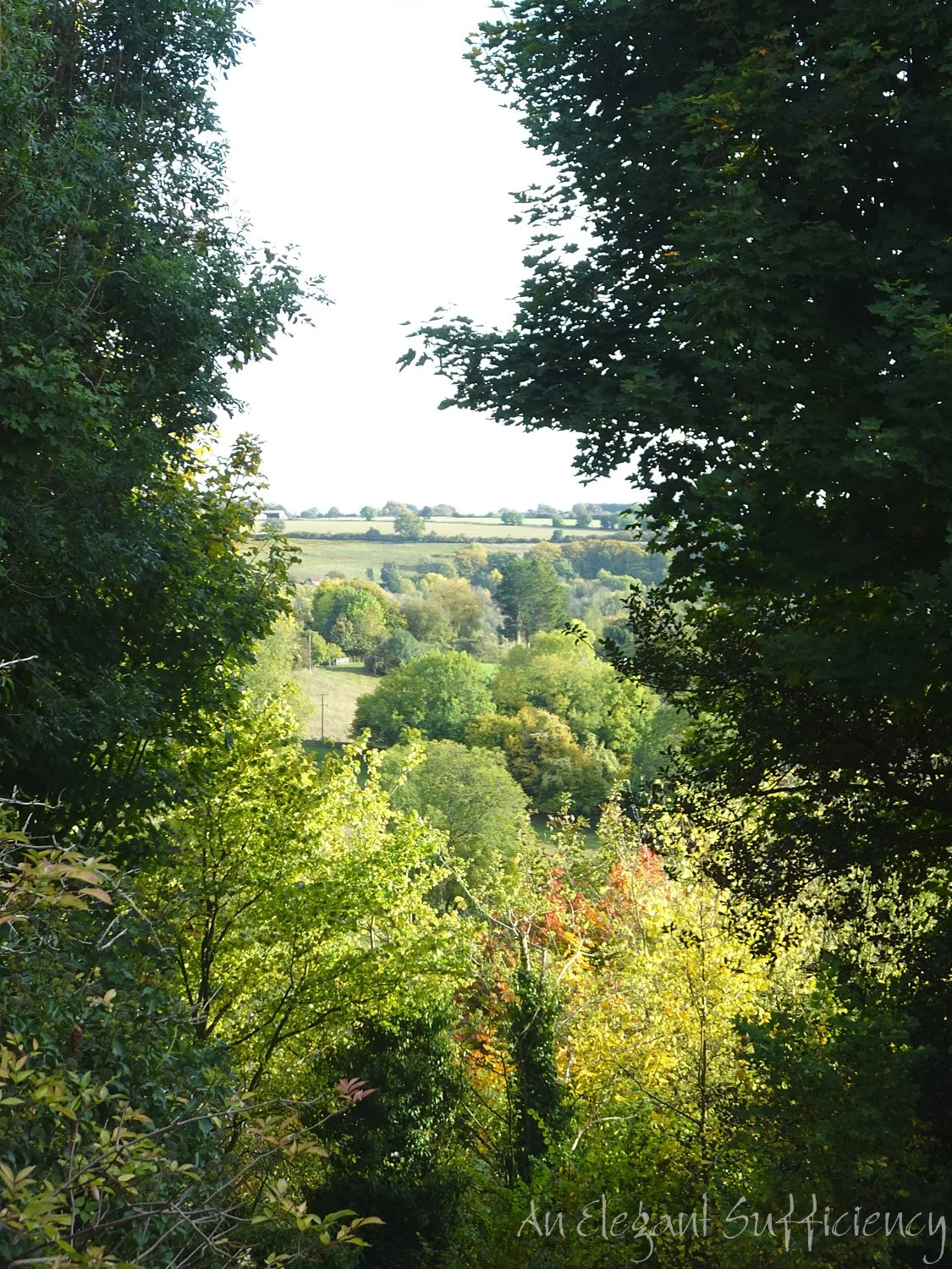 Autumn