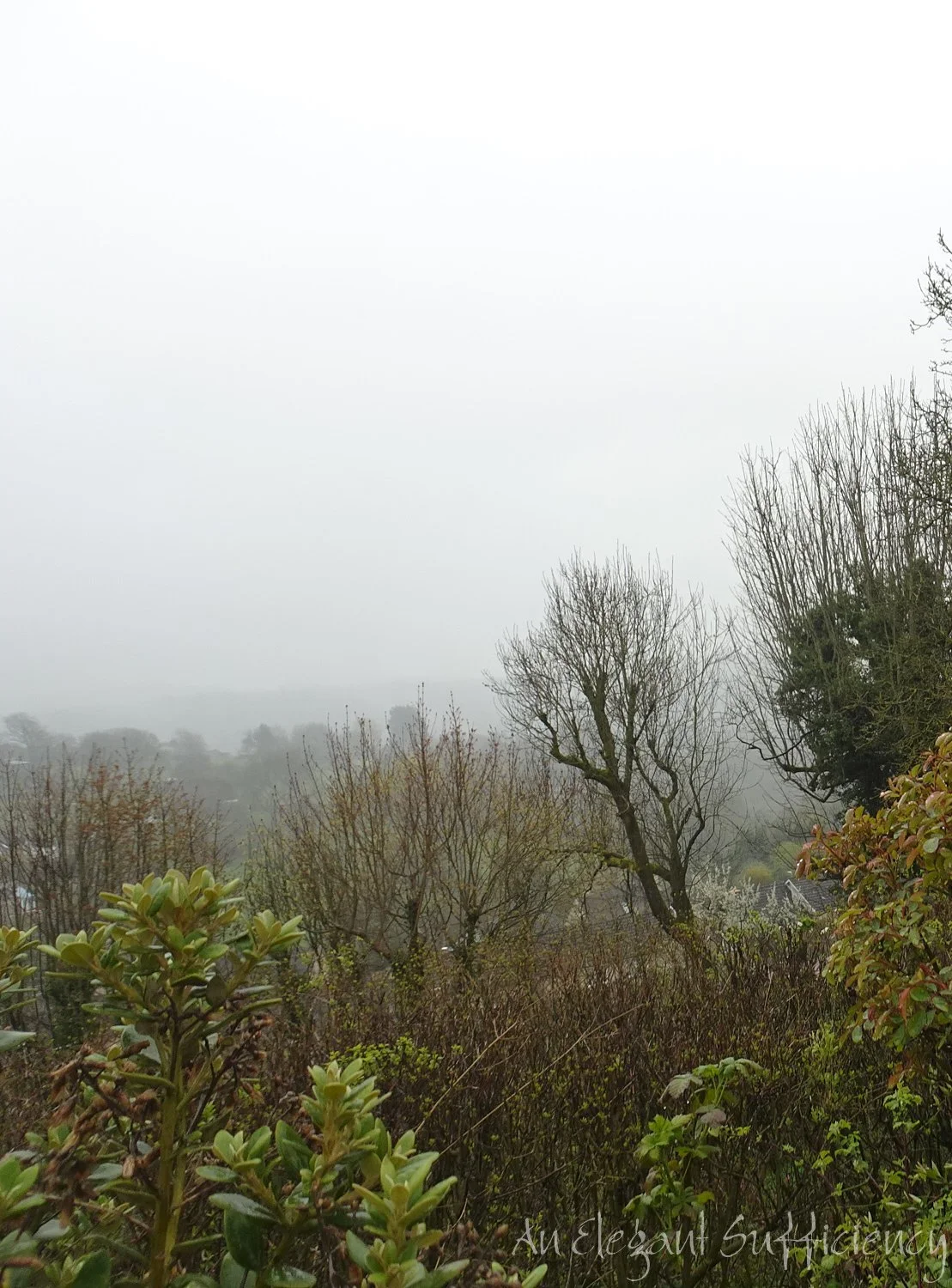 Spring-ish?  Really?