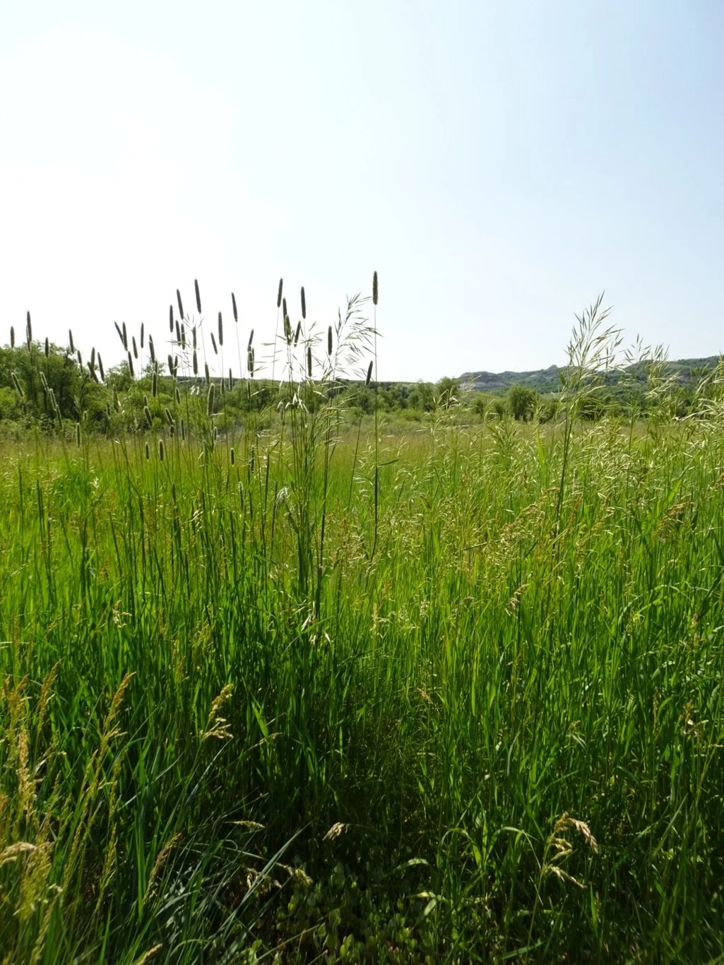 Continental Divides and Time Zones