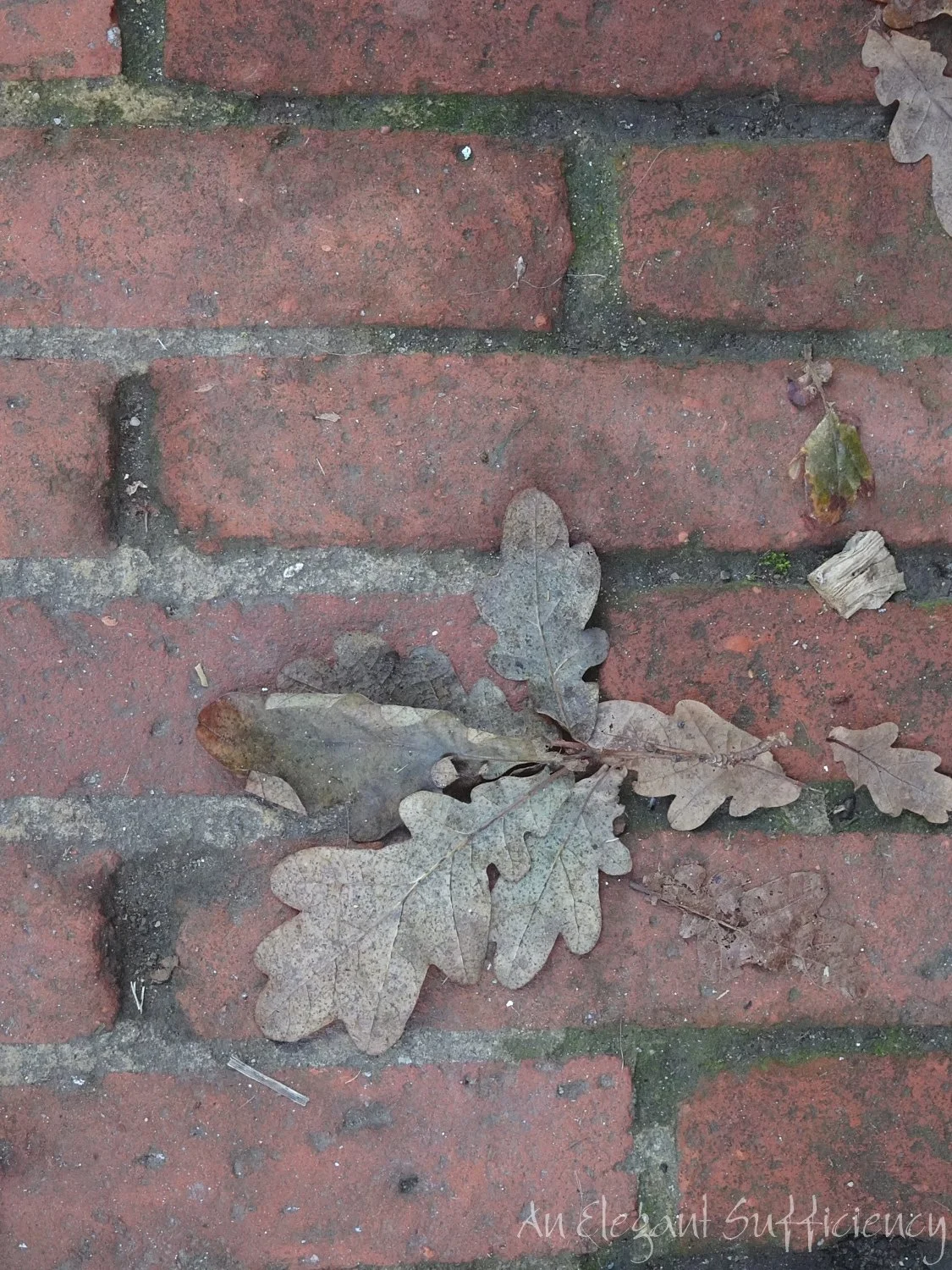 An Autumn weekend in Sussex