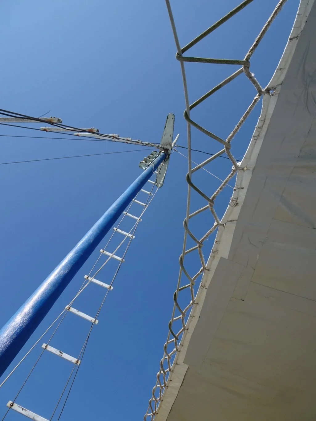 That same afternoon...