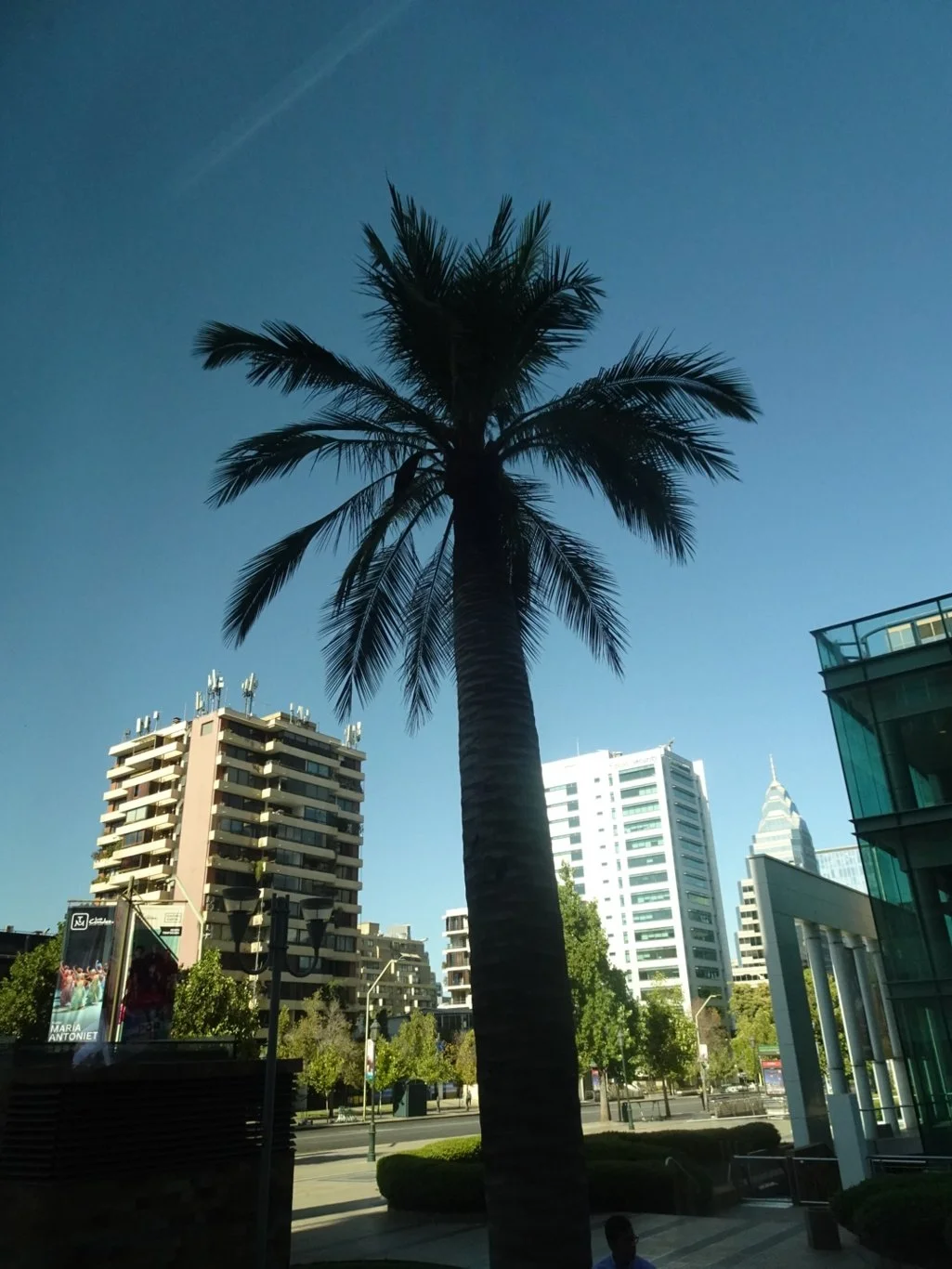 Off to a great start