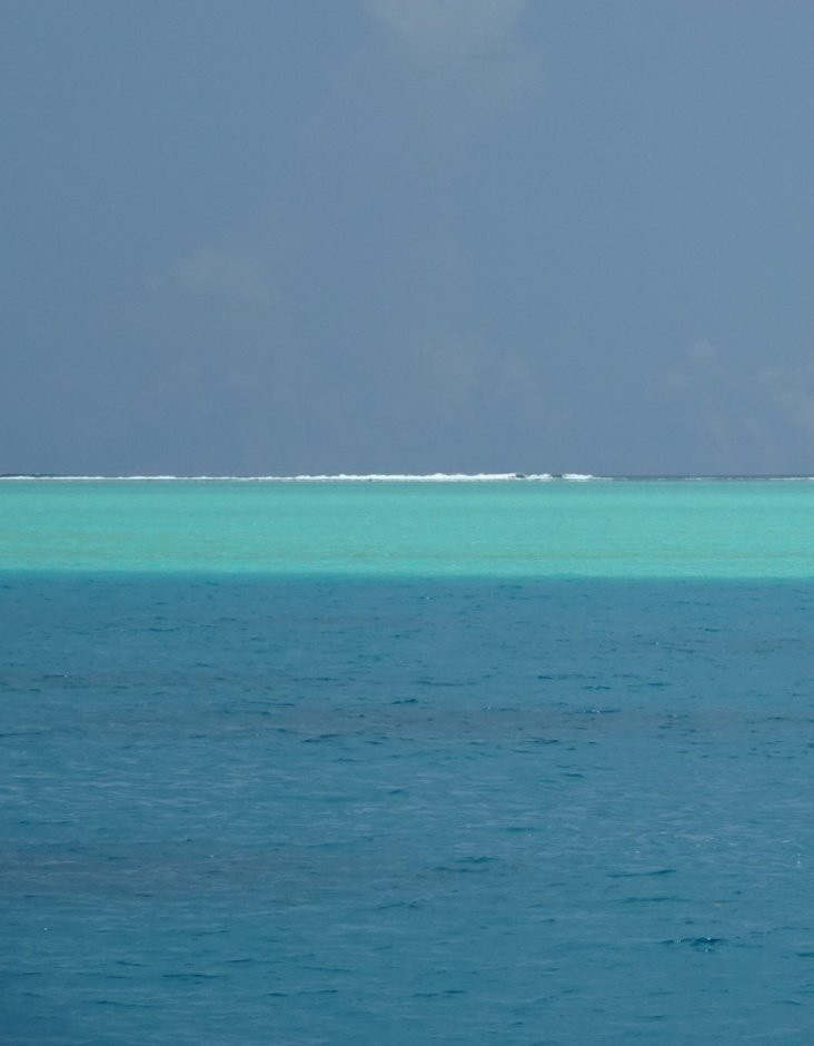 So much blue