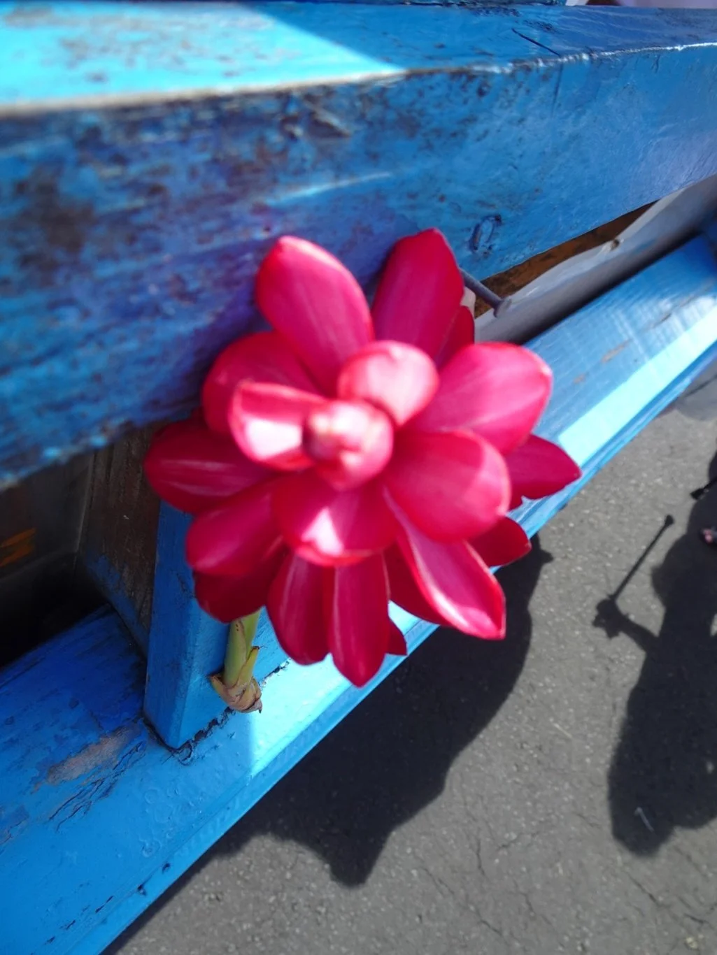 Noticing things in American Samoa