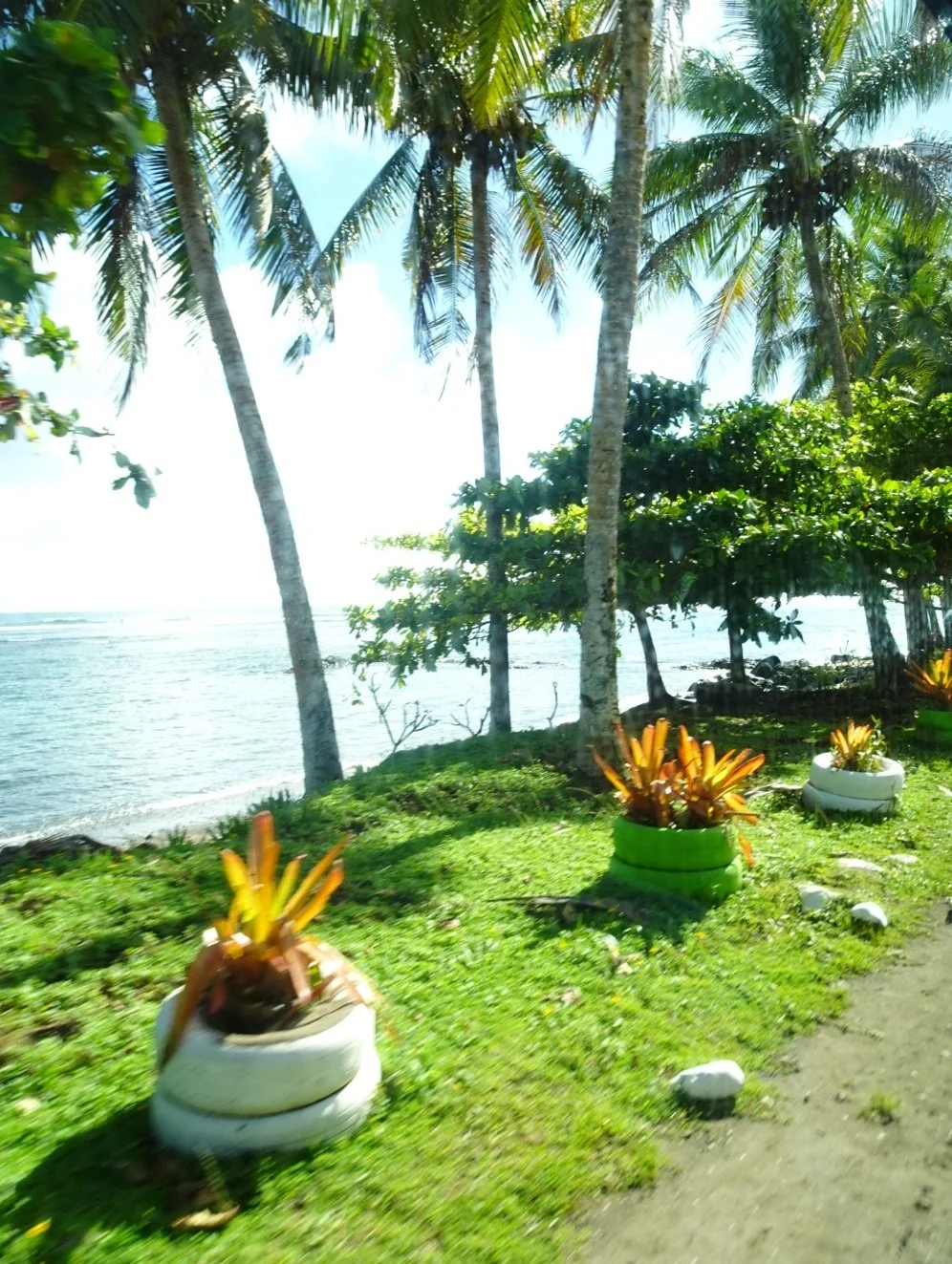 Finding answers in Samoa