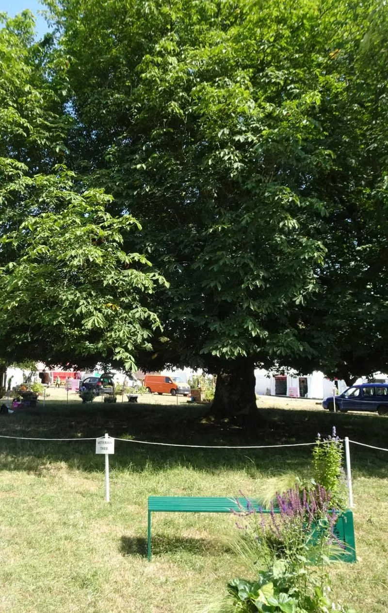 At the Flower Show