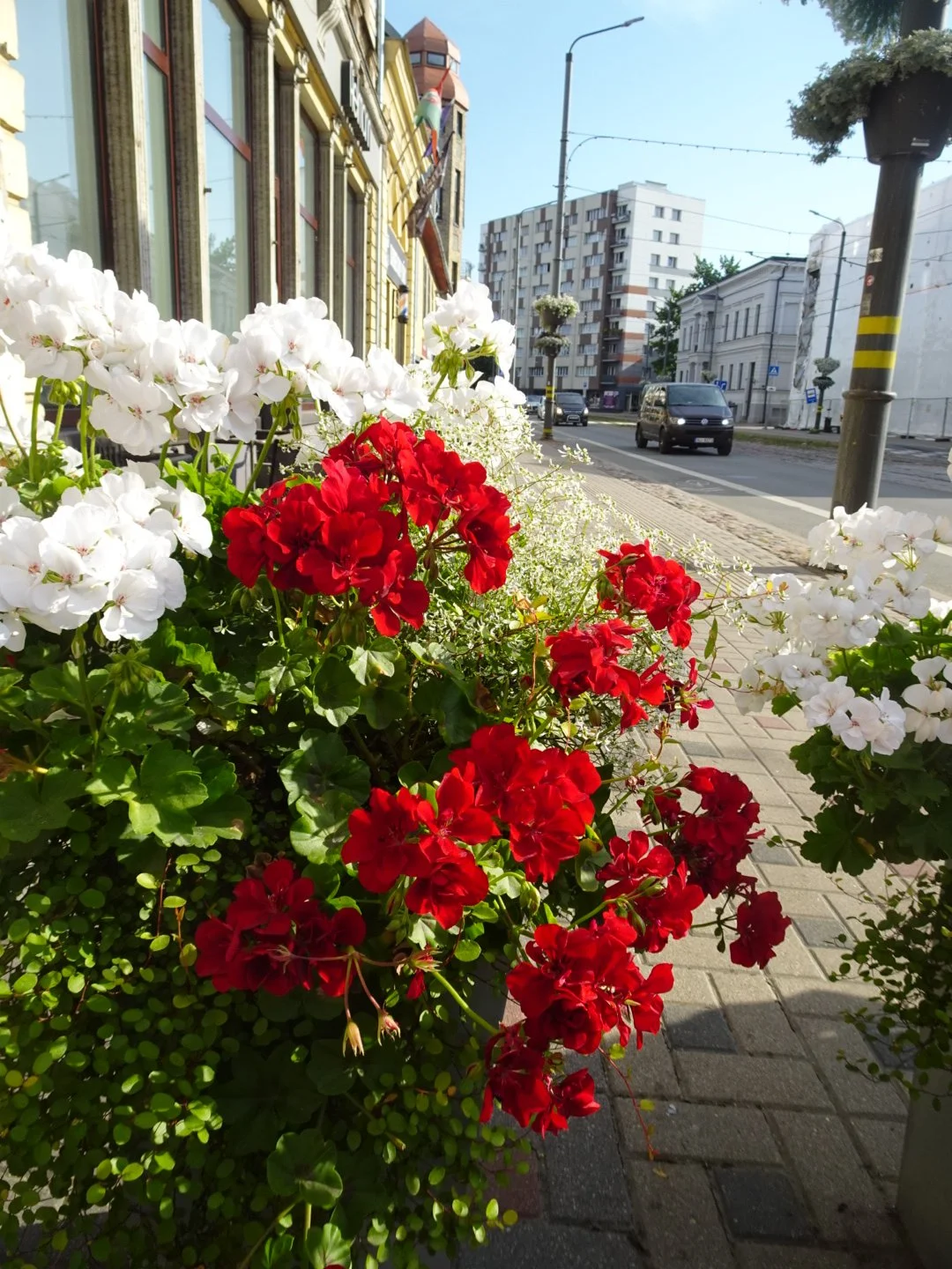 Liepāja, "the city where the wind is born"