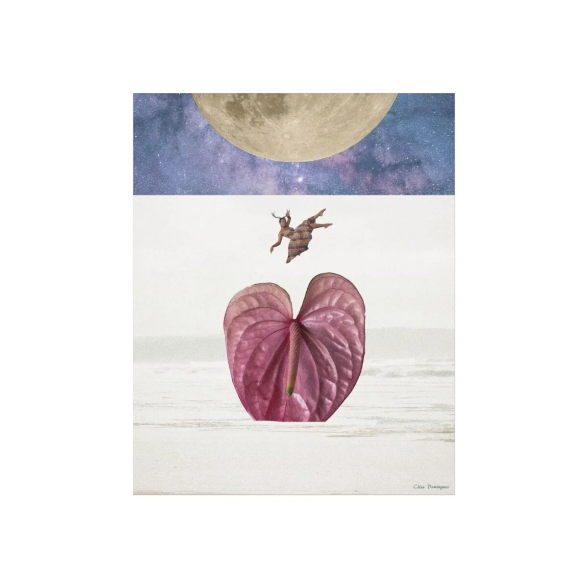 12bc37c4a1055e8db9bca85e46f9b687