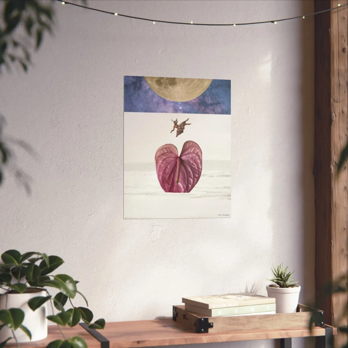 c88c484f7d30b64d82310027acc88e64