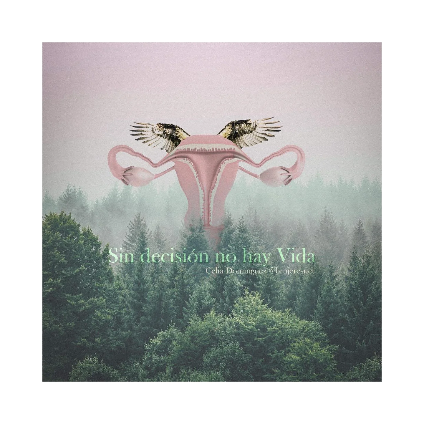 New collage work 

#digitalart
#digitalcollage 
#prochoice