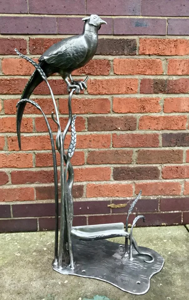 pheasant 2.jpg