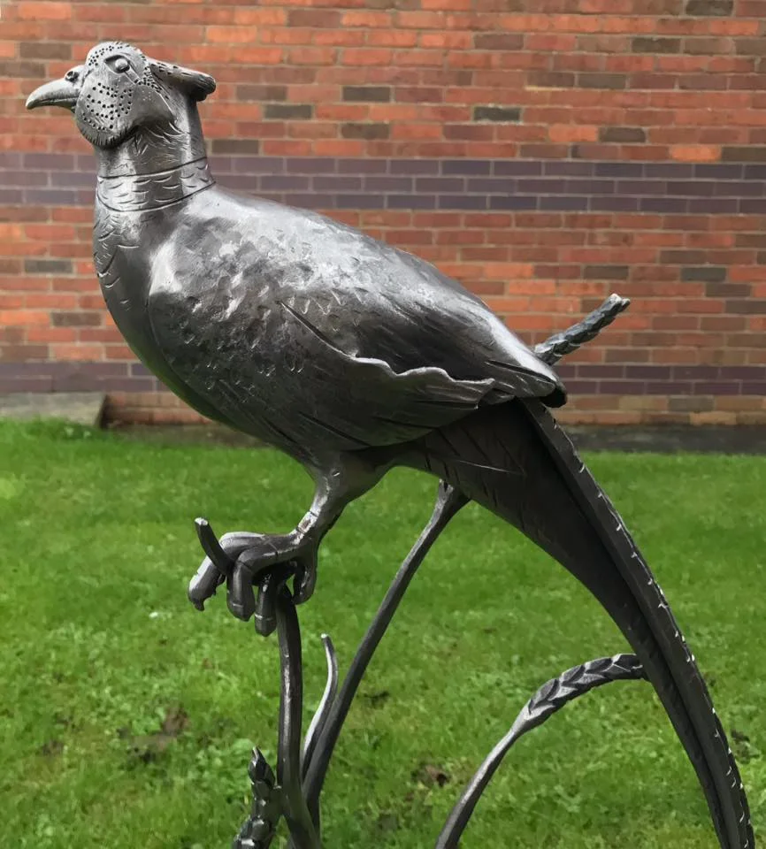 pheasant 3.jpg