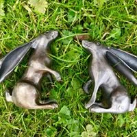 new hares.jpg