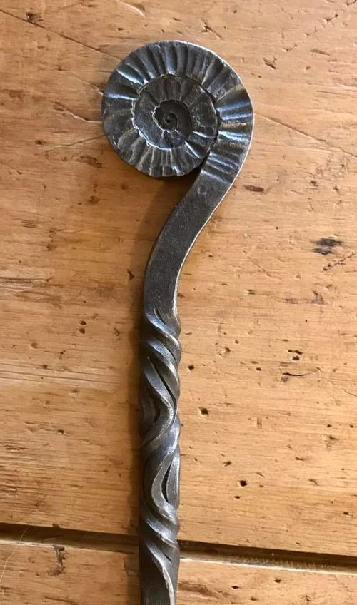 ammonite+top.jpg