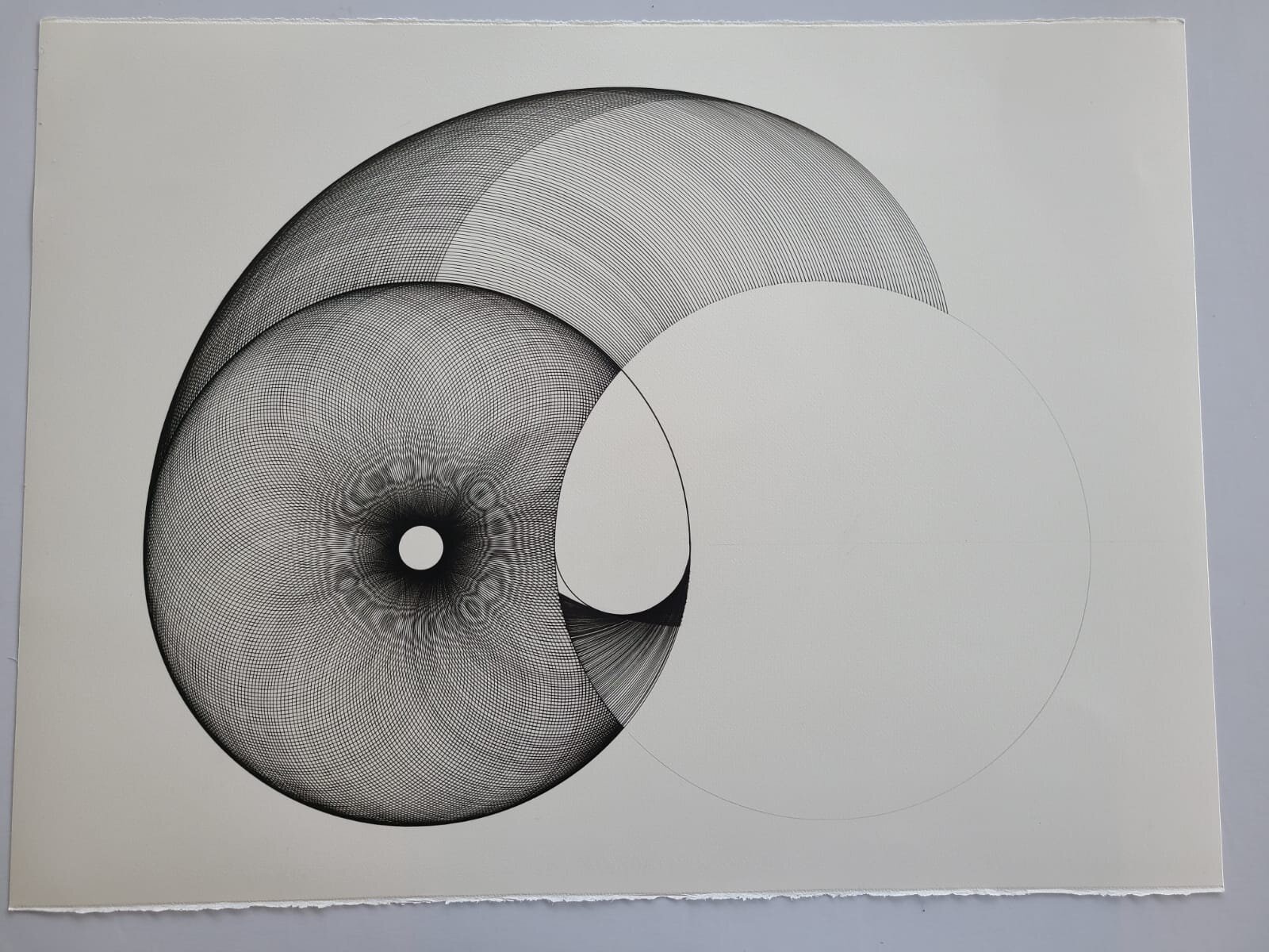 WhatsApp Image 2021-01-11 at 12.45.47 PM.jpeg