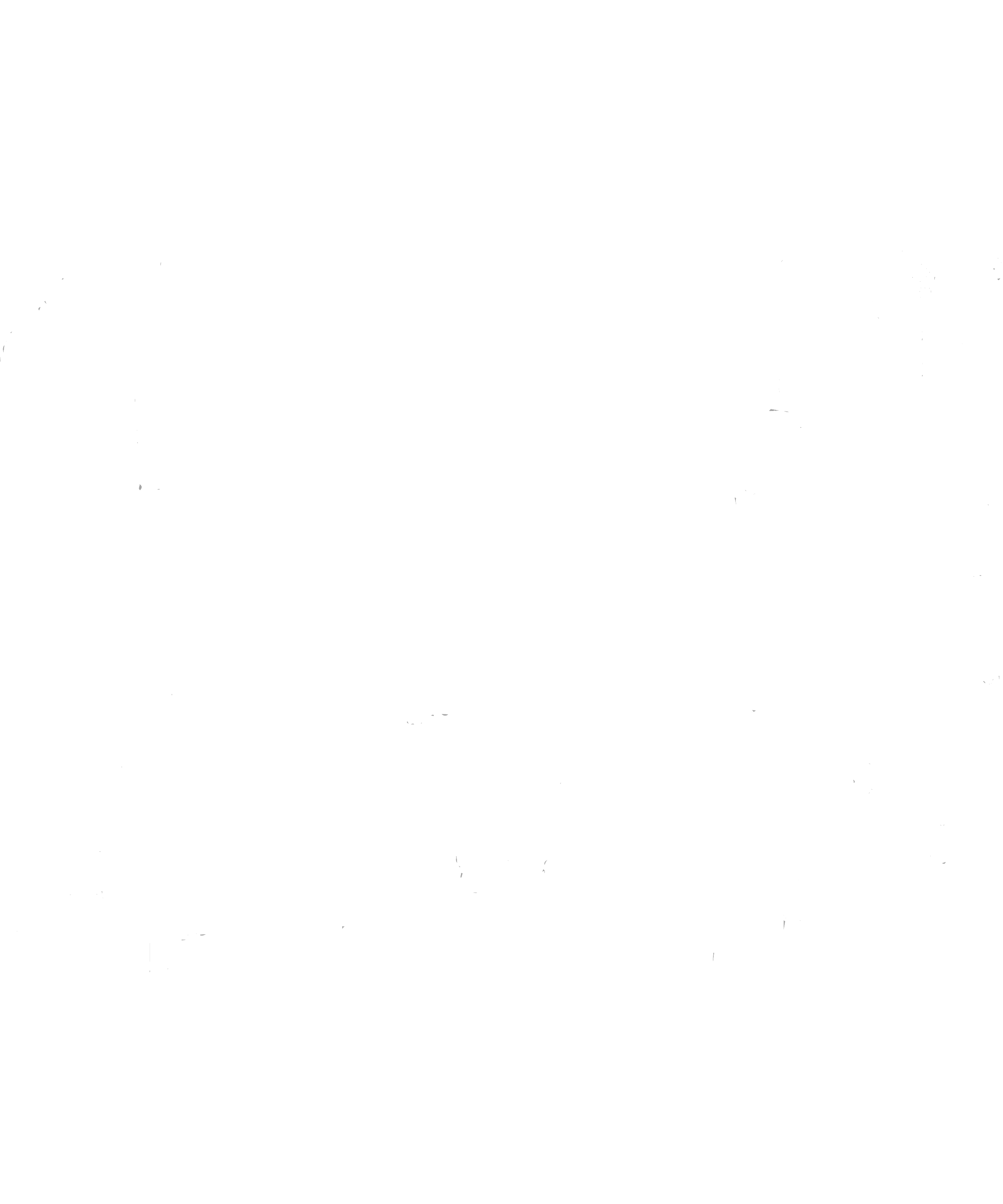 aa2.png