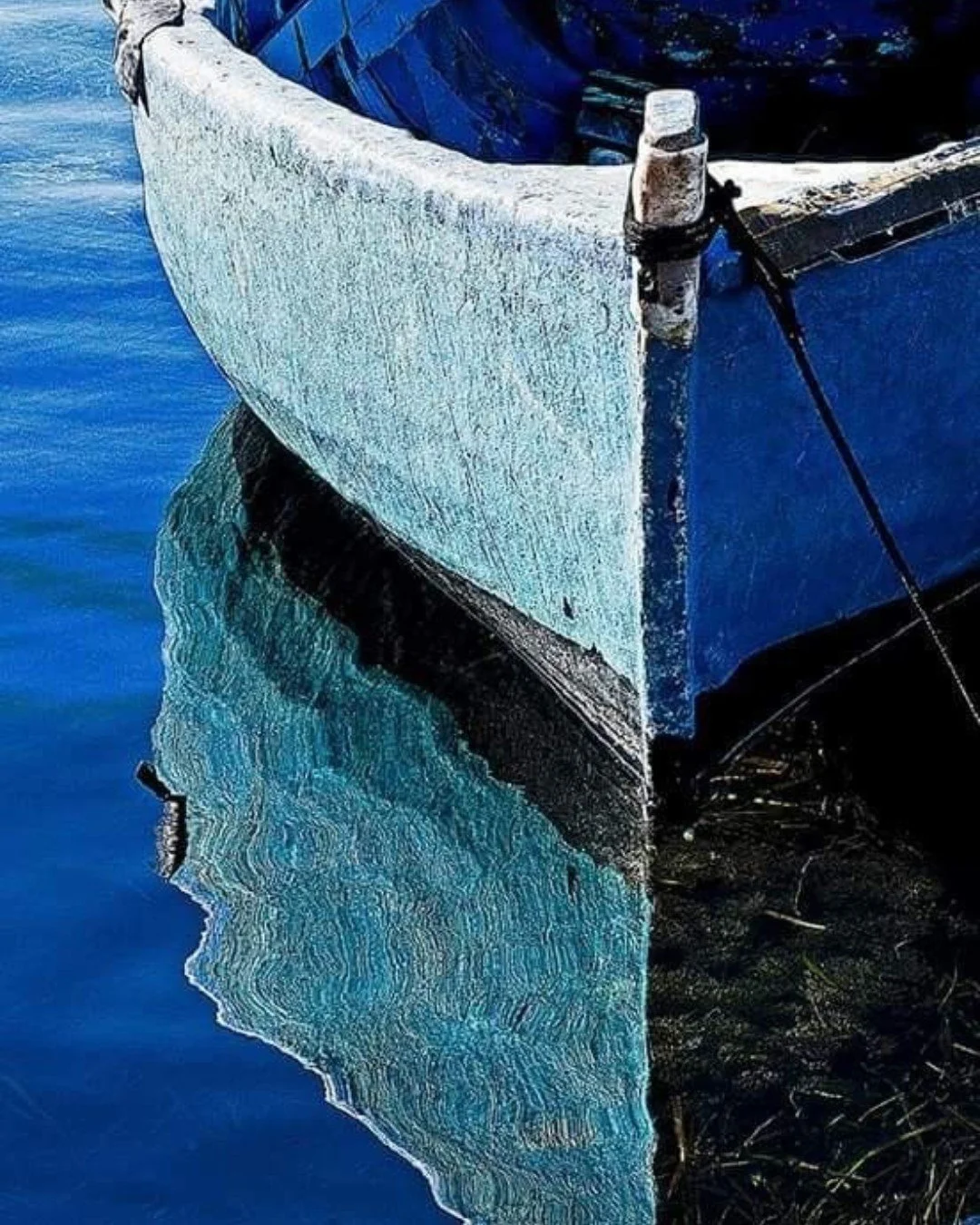 Shades of India. 💙

www.feelmefab.com

#ss26 #bombaysapphire #springsummercollection