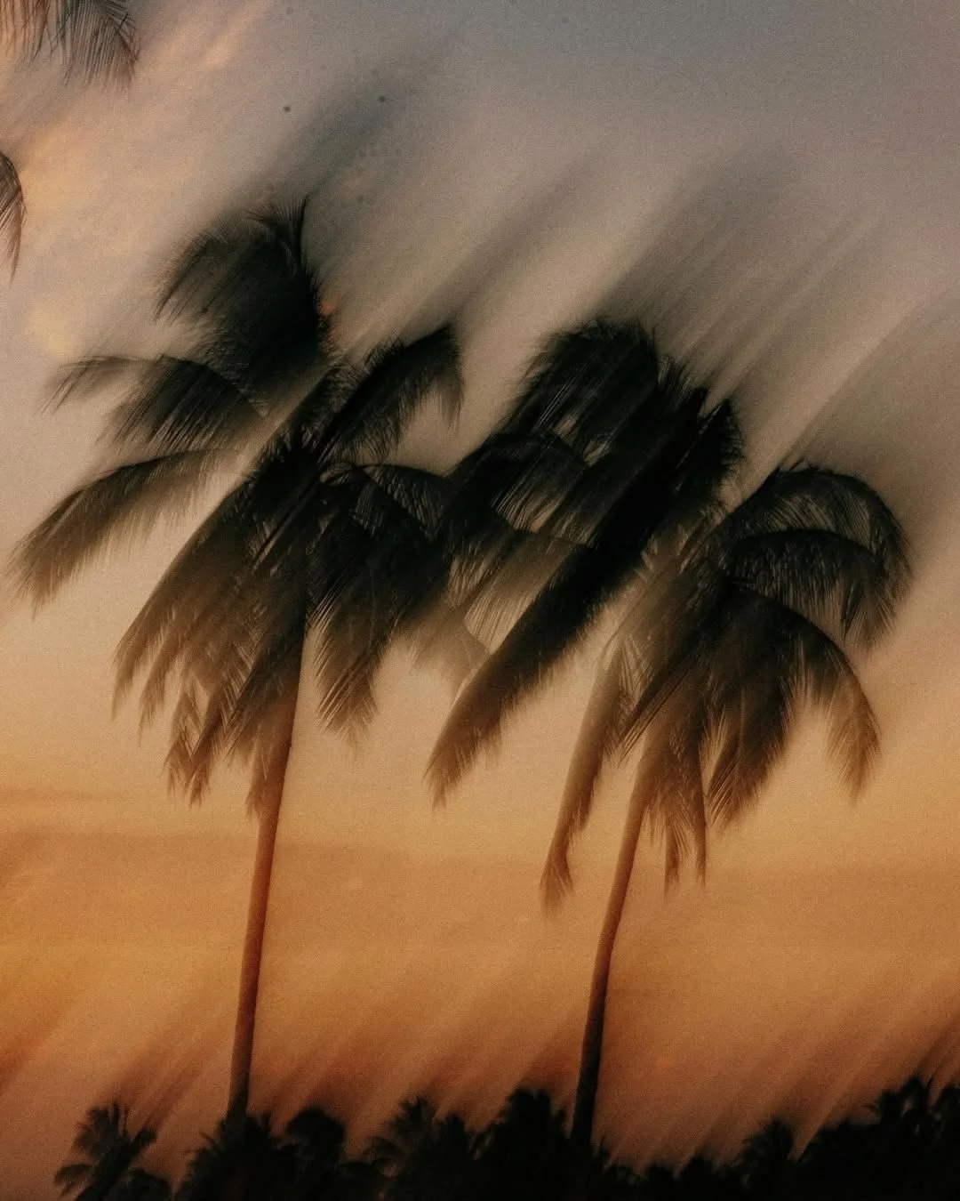 Summer vibes...

#ss26 #resortwear #springsummercollection