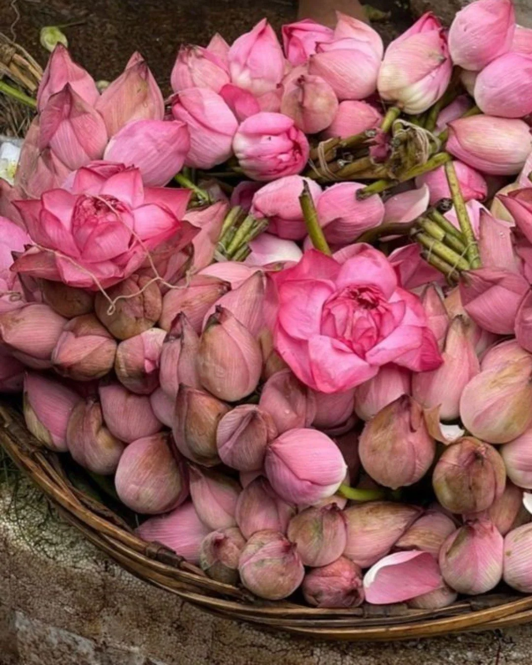 Inspo in every detail.

#ss26 #feelmefab #inspiration