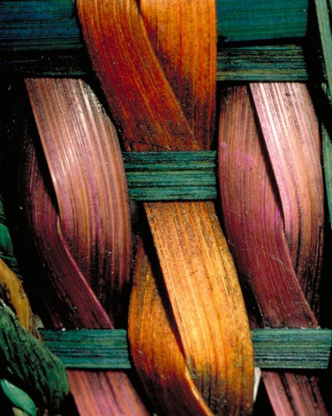 Shades of inspiration for our SS26 collection.

www.feelmefab.com