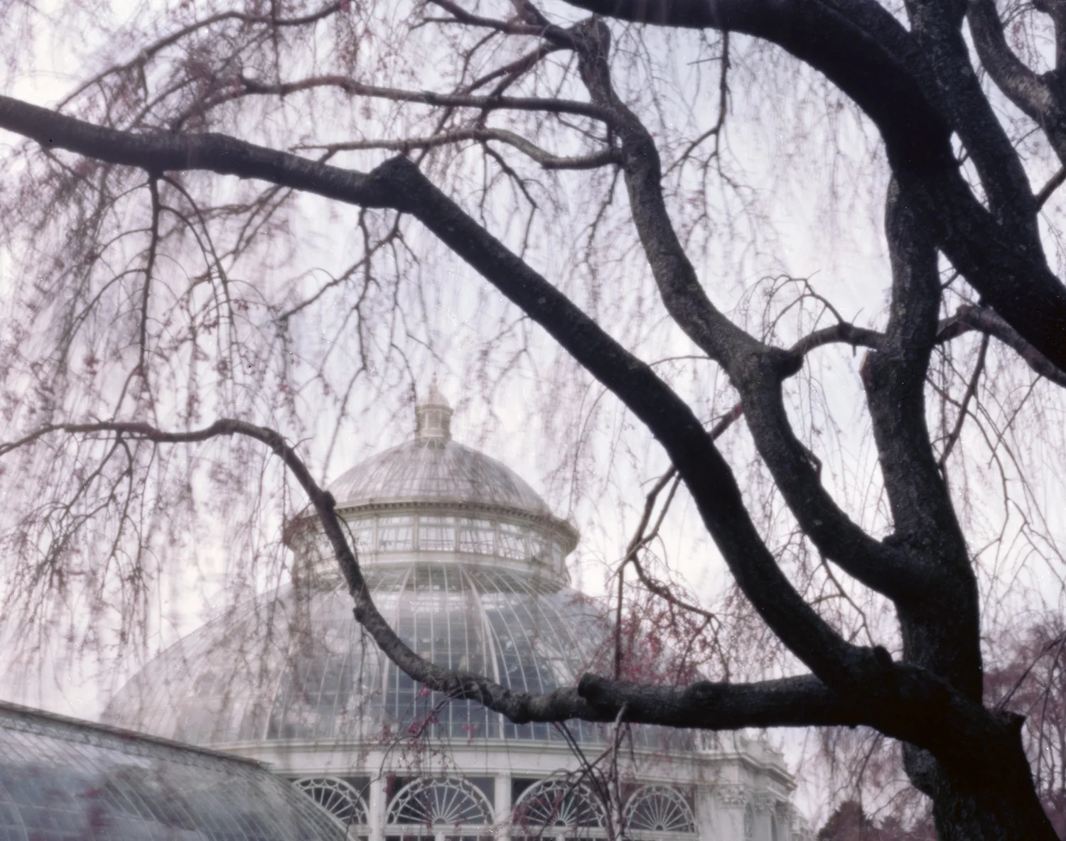 007_NYBG.jpg