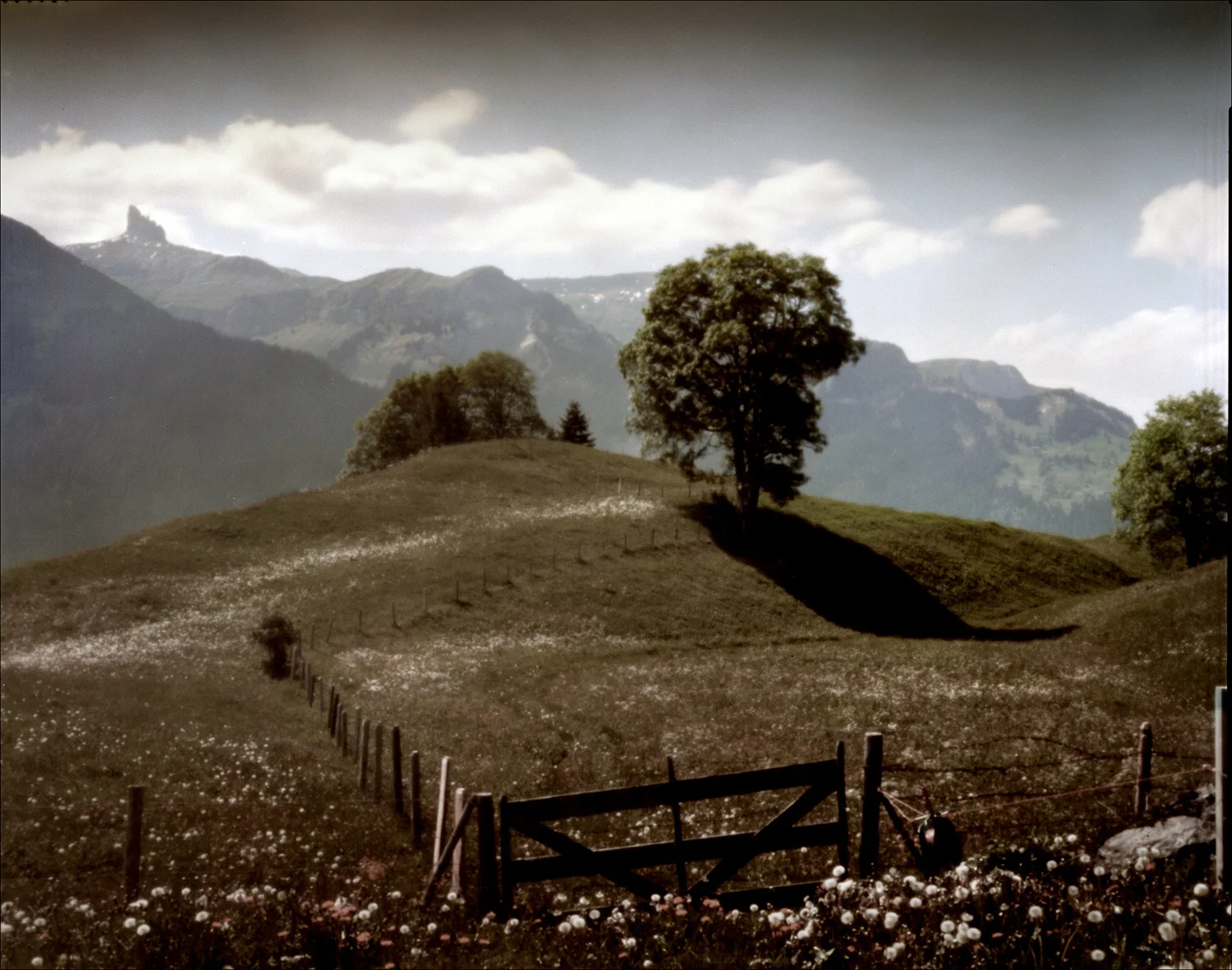 008_SwissAlps.jpg