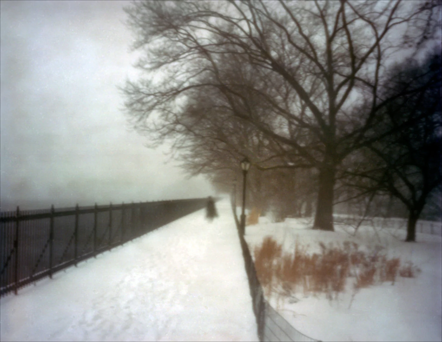 011_CentralParkSnow1.jpg