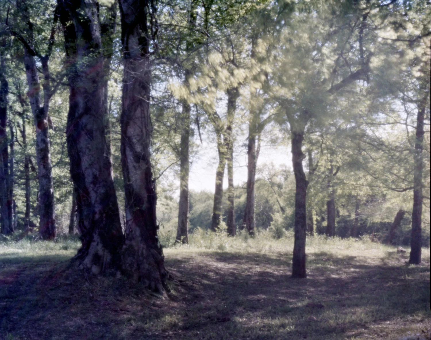 020_Natchez.jpg