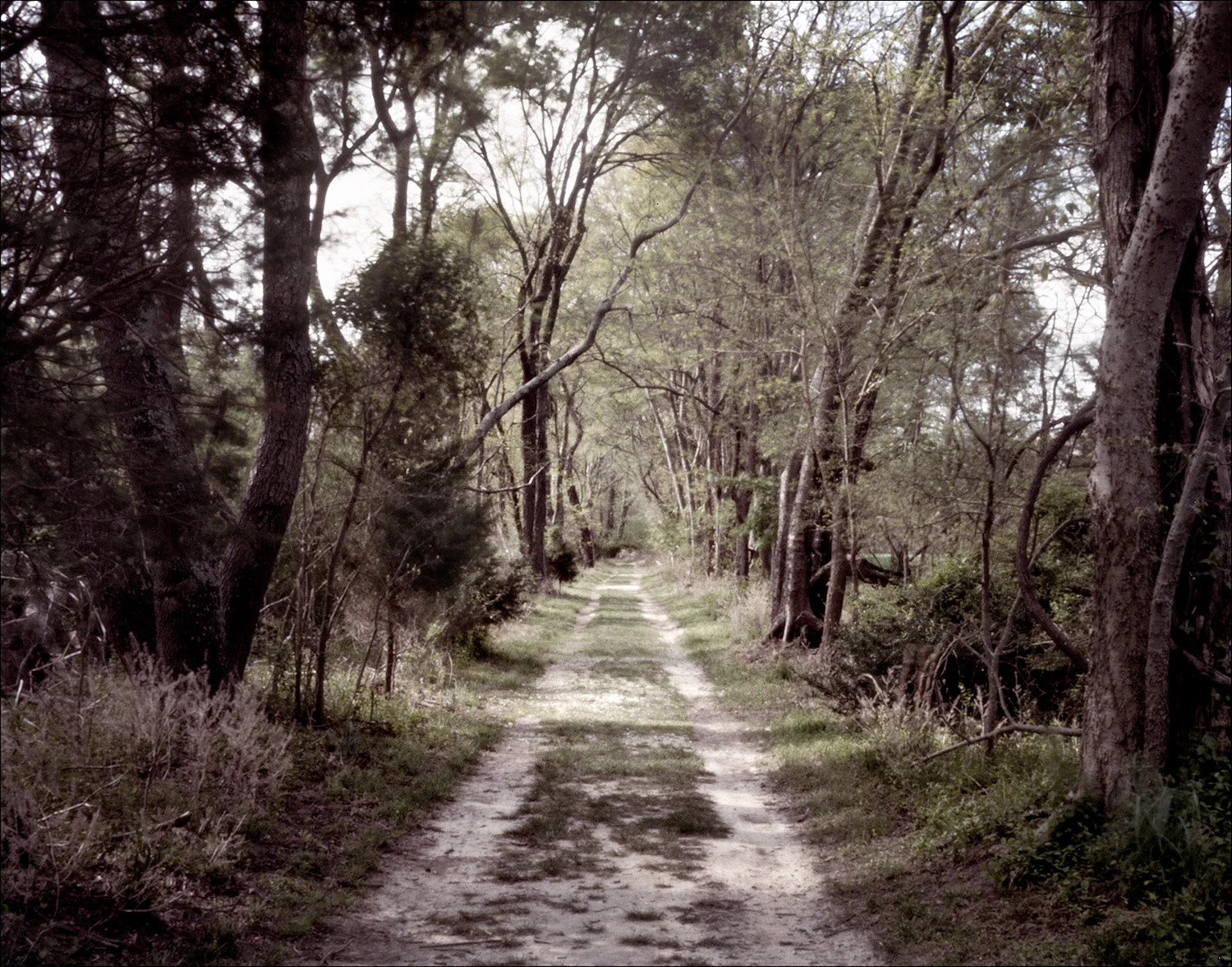 010_Totopotomoy.jpg