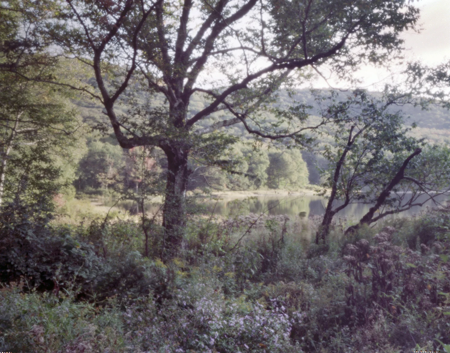 HRS_015.jpg