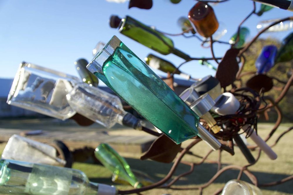 bottle tree.jpg