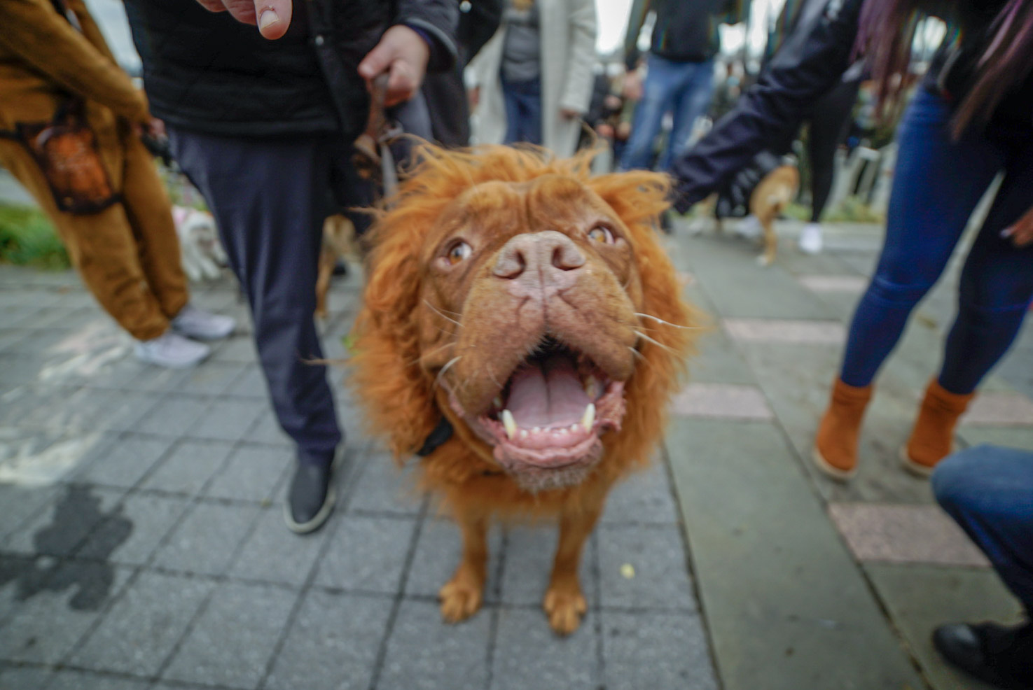9-LRG__DSC6244.jpg