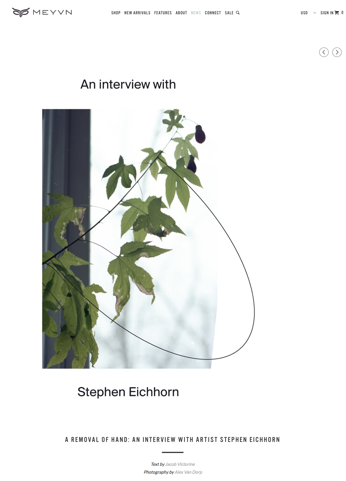 A Removal of Hand  An Interview with Artist Stephen Eichhorn   MEYVN 01.png