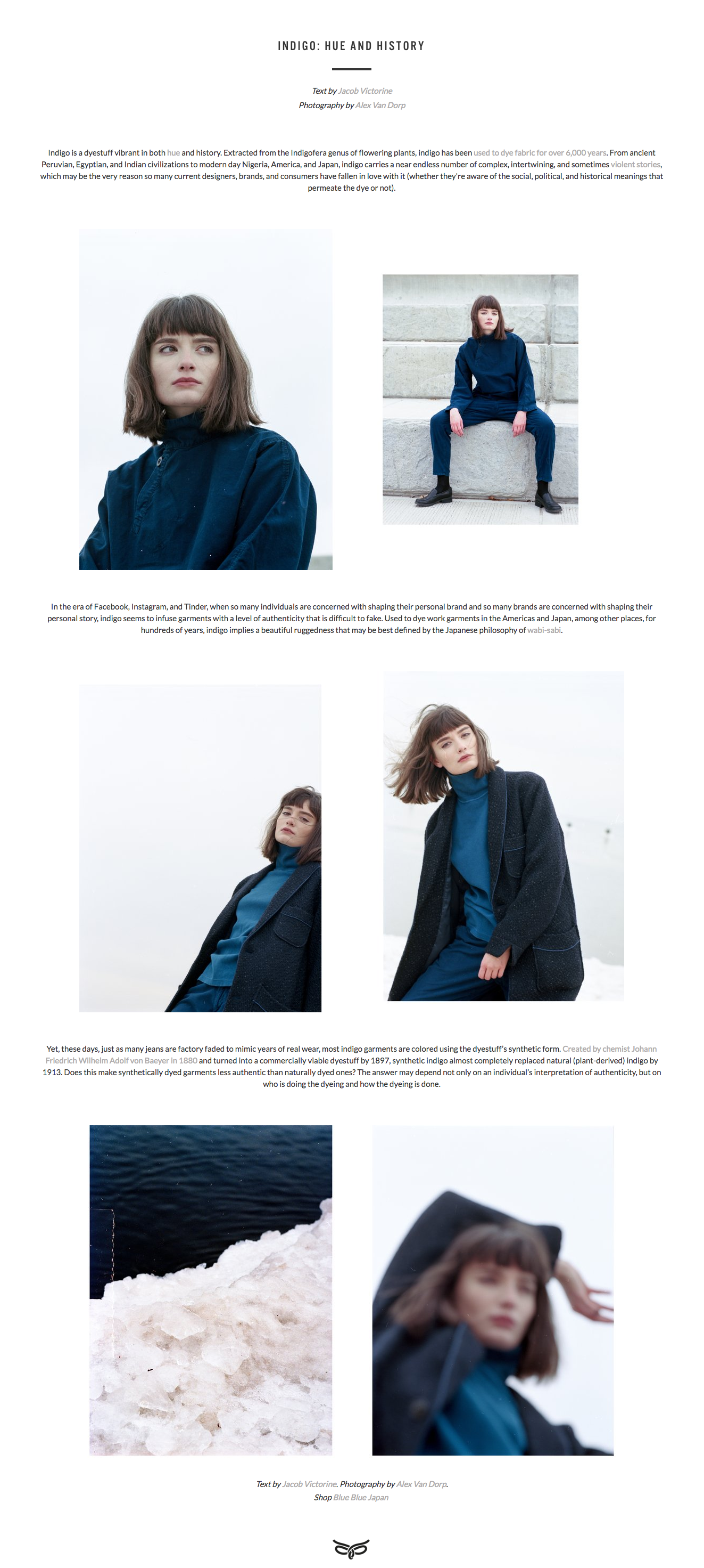 Indigo  Hue and History   MEYVN.png