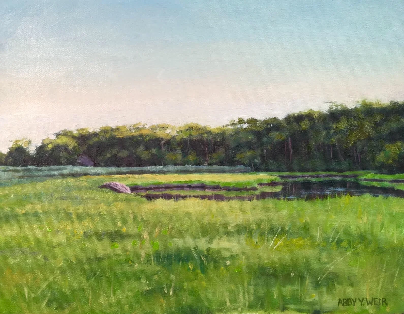 setauket marsh .jpg