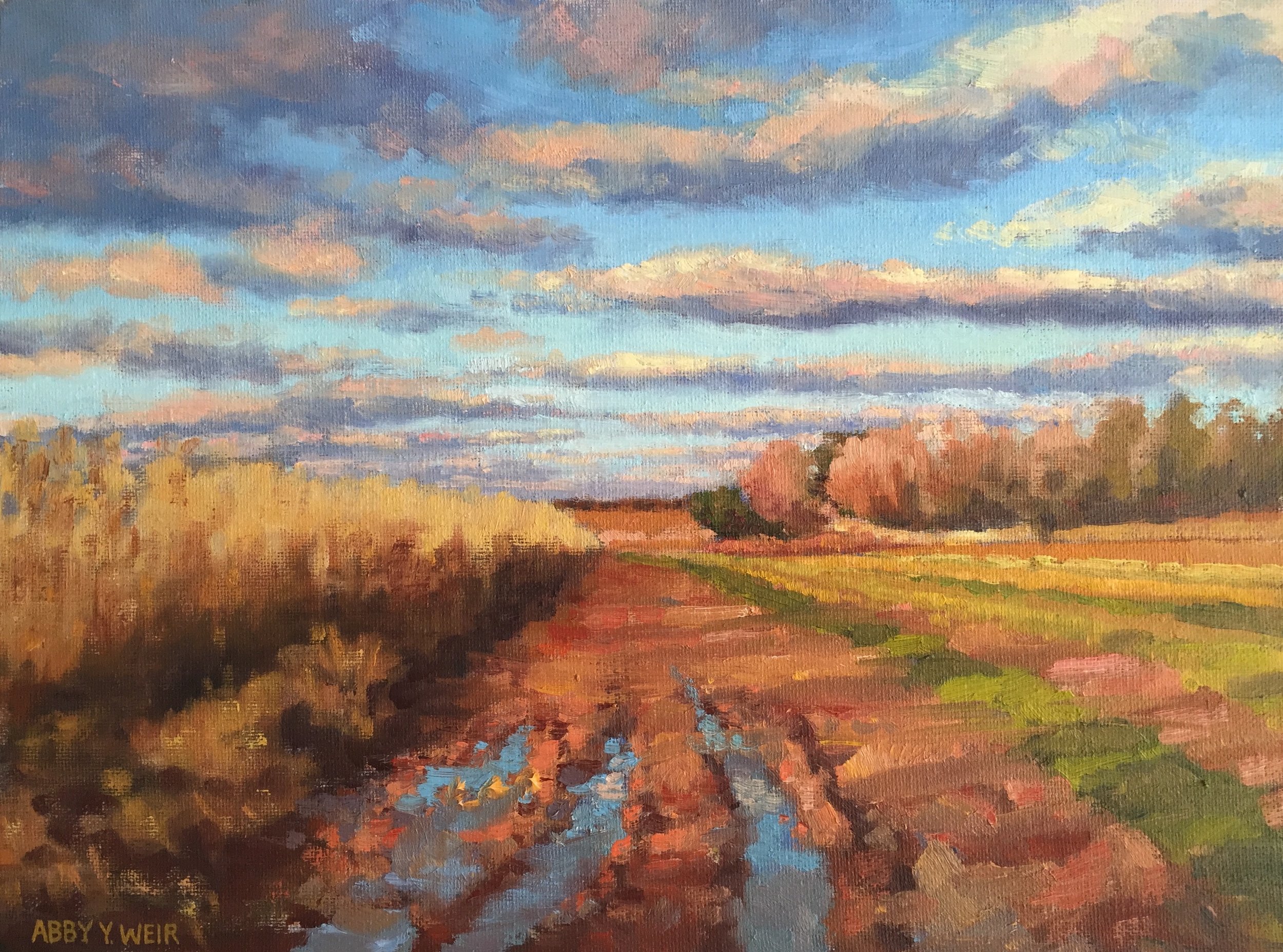 study - fields in december .jpg