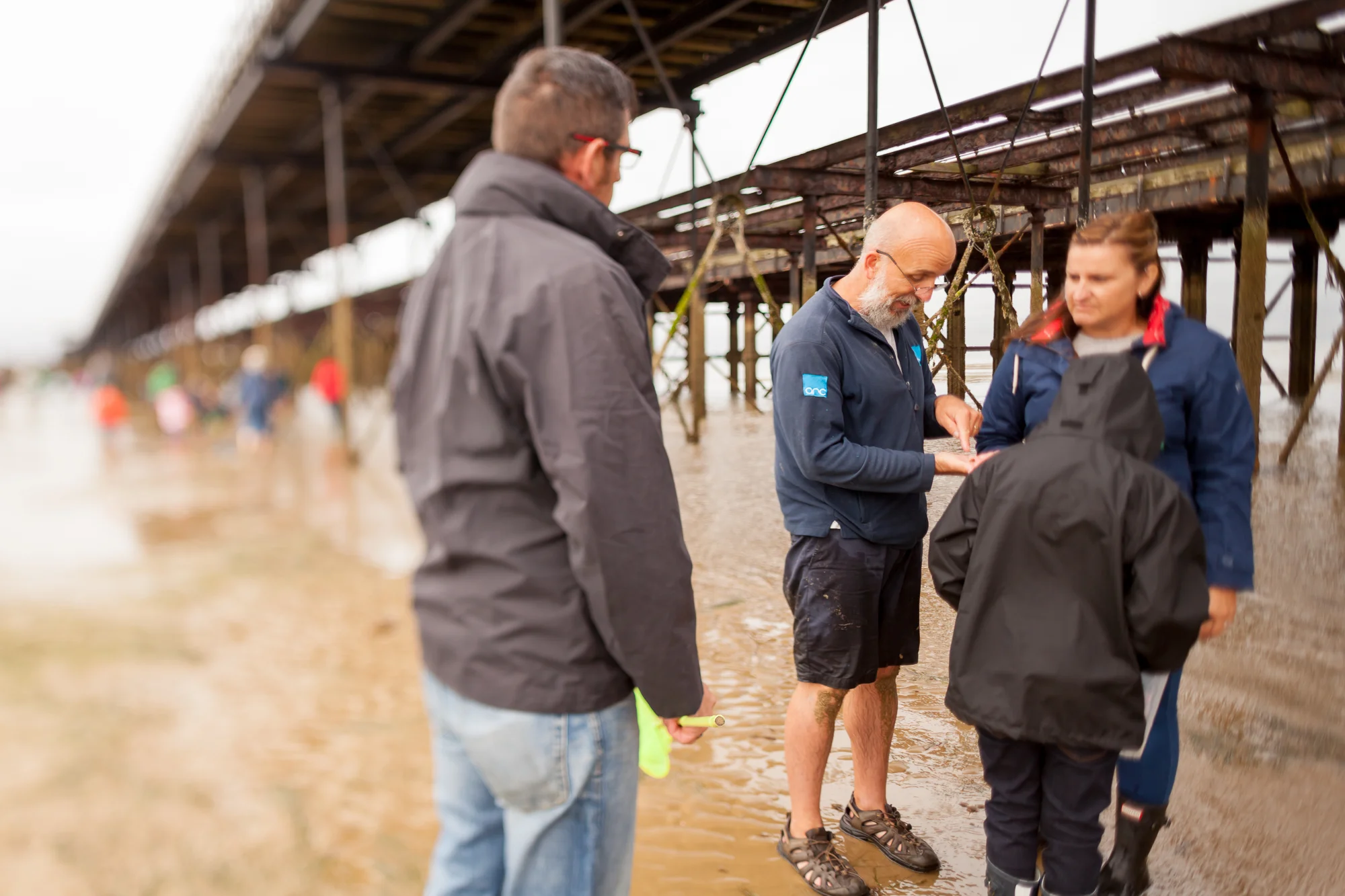 Under The Pier 2016 Image Julian Winslow (68).jpg
