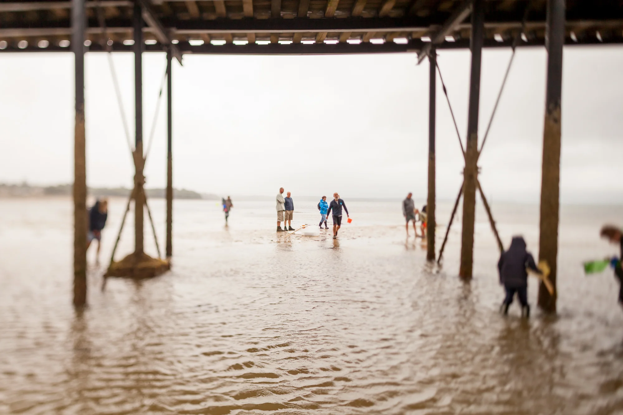 Under The Pier 2016 Image Julian Winslow (71).jpg