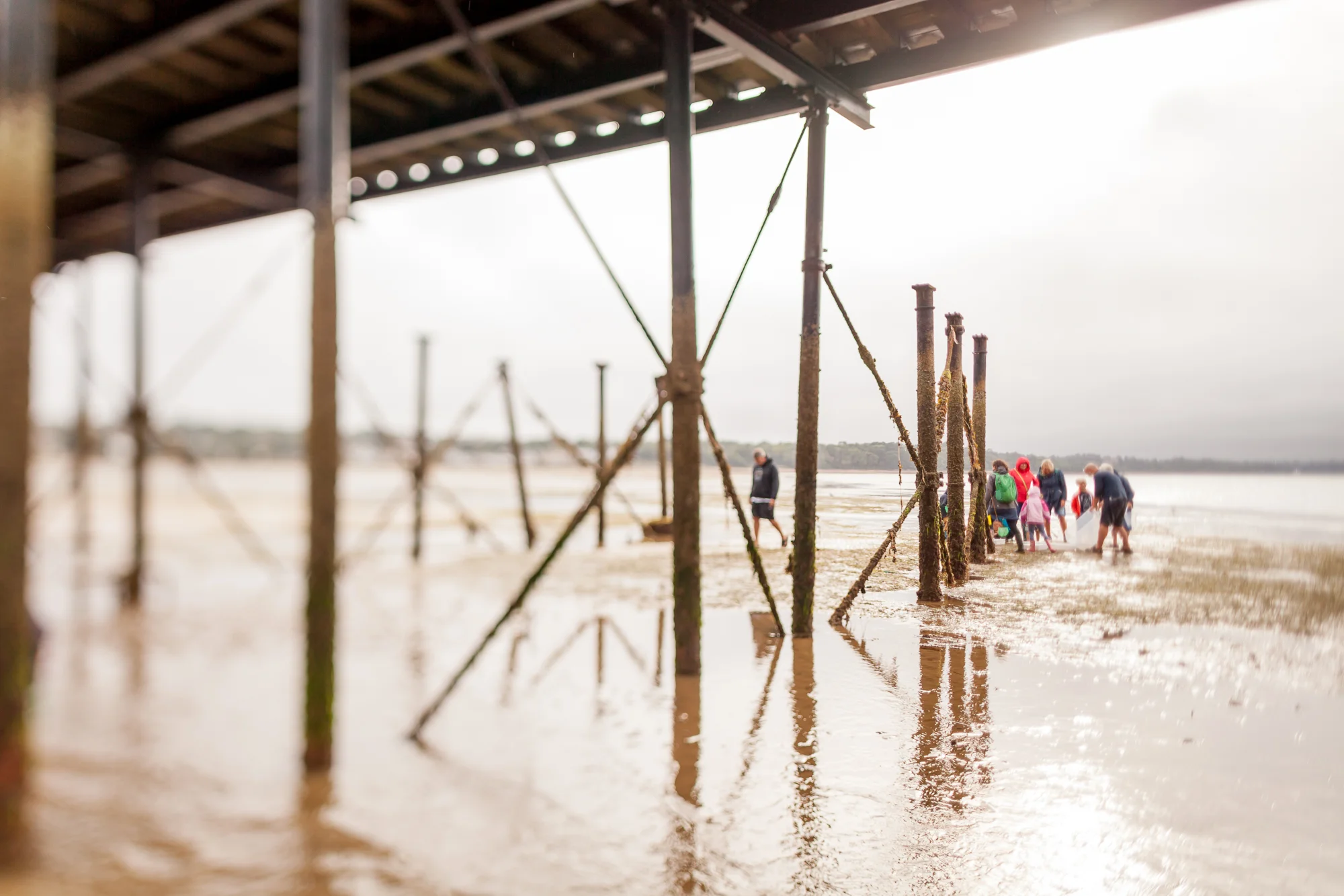 Under The Pier 2016 Image Julian Winslow (87).jpg