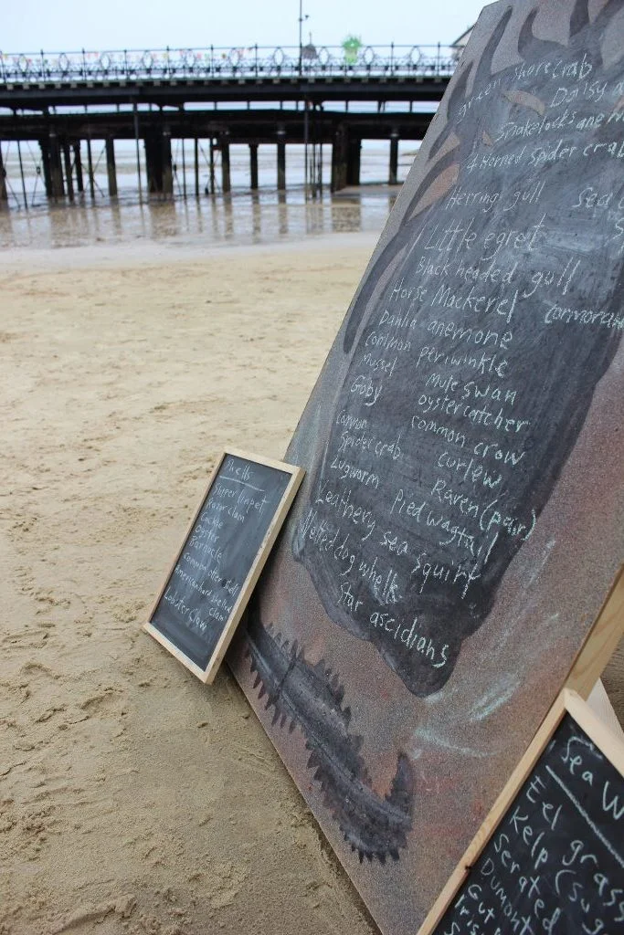 Under the Pier 2015(683x1024) (25).jpg